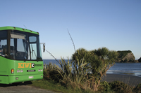 Kiwi Experience at Kaiteriteri